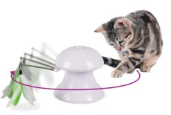 Flamingo Jouet Chat Laser Avec Plumes 2in1 8 Flamingo Jouet Chat Laser Avec Plumes 2in1 -Pet Market Soldes 5a63b950d42d1de609093f10995375db81899024e8eb684eba5f45a769a02b7a