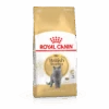 Royal Canin British Shorthair Pour Chat 10kg