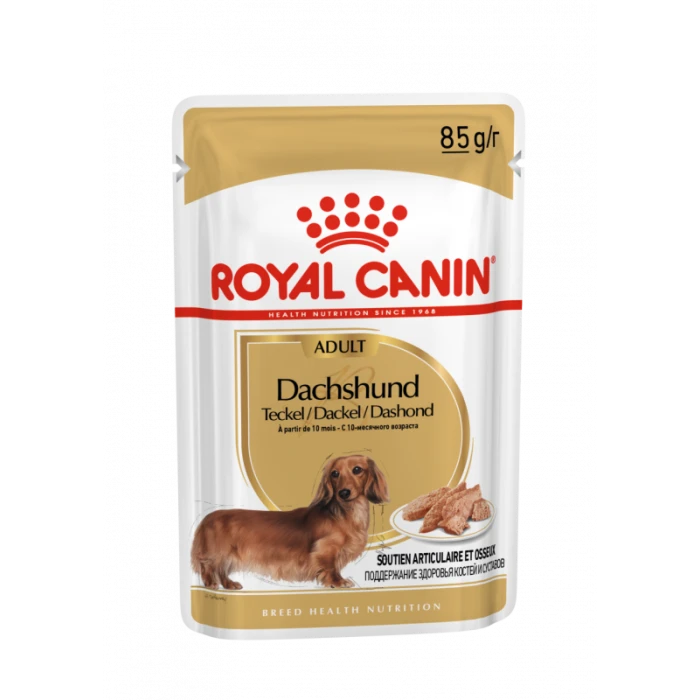 Royal Canin Teckel Adult Pour Chien 12 X 85g 1 Royal Canin Teckel Adult Pour Chien 12 X 85g