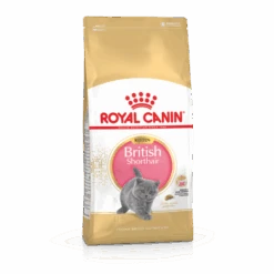 Royal Canin British Shorthair Chaton 2kg