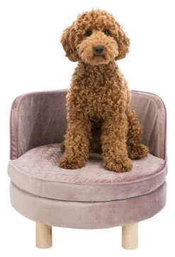 Trixie Sofa Livia Ø 48 × 40 Cm 7 Trixie Sofa Livia Ø 48 × 40 Cm -Pet Market Soldes 7cf804d07c0b98da47144c98fcd7ba8b2506d81134b4c31cdb0a08f1b7e275db