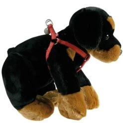Harnais Mac Leather Rouge -Pet Market Soldes 7fa2cc7bf2ad1ec1024d597f2fed499ec47bba7c76aba5ba669bf832ee56475f