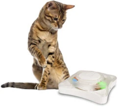 Flamingo Jouet Pour Chat Rouleau Orbit -Pet Market Soldes 8197d5494eb4b09c0197fedf33f4490029fe0c13a33cf83ce23255affeedb826
