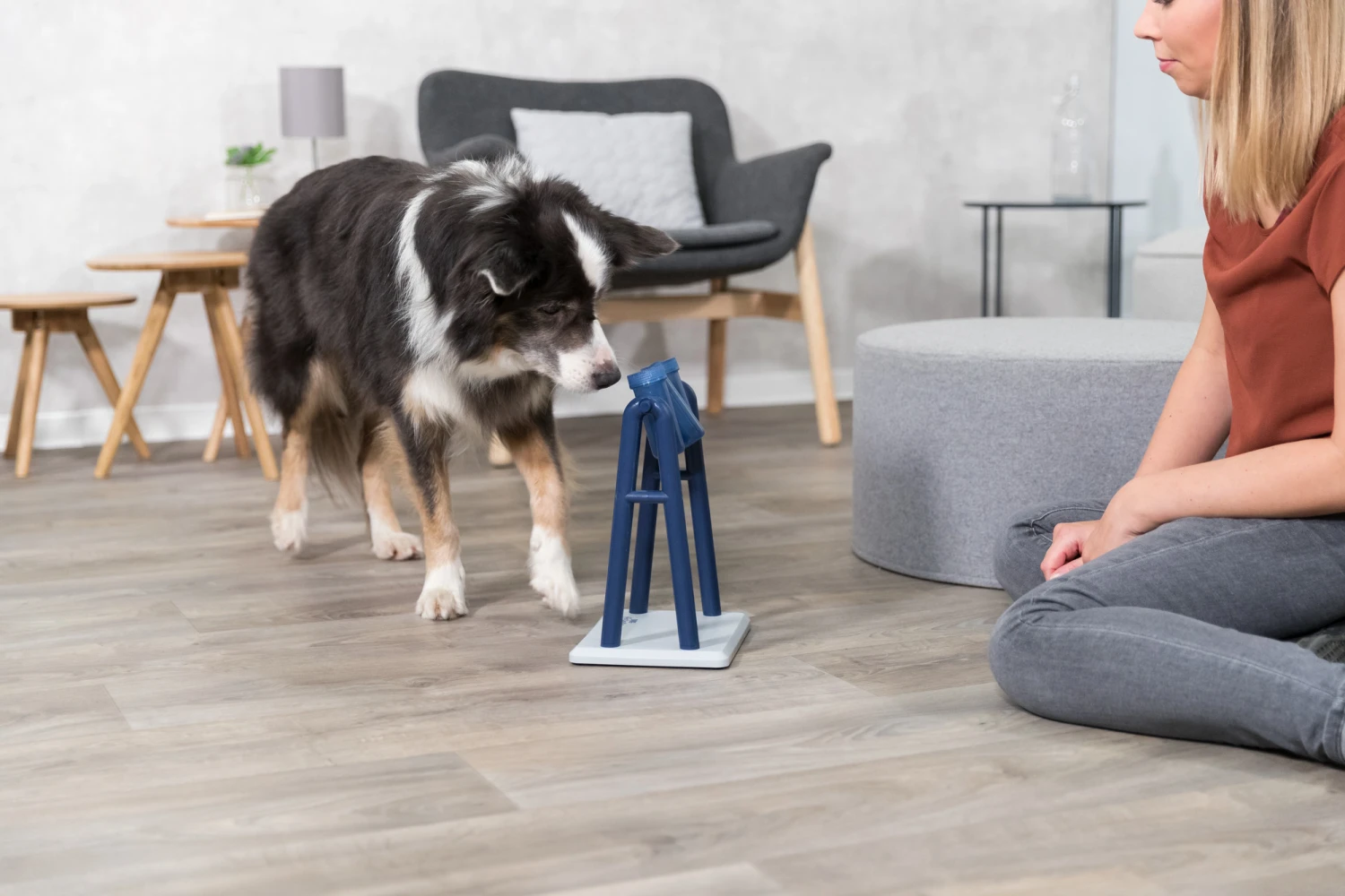 Trixie Jeu De Stratégie Pour ChienTurn Around 22 X 33 X 18 Cm 11 Trixie Jeu De Stratégie Pour ChienTurn Around 22 X 33 X 18 Cm – Image 11