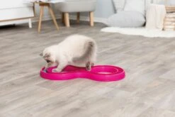 Trixie Jeu Pour Chat Flashing Ball Race 65 X 31 Cm -Pet Market Soldes 92edef64fa1673f9ad39d2ed5c93ab26b693b9000b77e9bf1adc99d68473fd0b