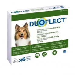 CEVA Duoflect Chien -Pet Market Soldes 95f4c17eb969b4016f8ca3f076ea9df0298c5203b9ea1741bd6a6979867b3ae5