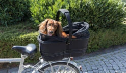 Trixie Panier De Vélo Pour Porte-bagage Large 29 × 49 × 60 Cm -Pet Market Soldes 9df5aa14ef615c0e89bc0513352abd0522d07e925fc161455dcfb790d23a58cb