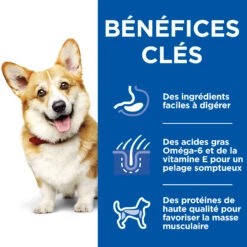 HILL'S SCIENCE PLAN HEALTHY CUISINE MIJOTÉS POUR CHIEN ADULTE SMALL & MINI AU POULET ET AU BŒUF 12X80G -Pet Market Soldes Hill s science plan chien adult healthy cuisine mijotes sachet repas poulet boeuf 12x80g 8 FR