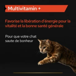 Purina PRO PLAN MULTIVITAMINS+ CHAT ALIMENT COMPLEMENTAIRE - 60G -Pet Market Soldes PRO PLAN MULTIVITAMINS CAT SUPPLEMENT 60G 5 FR
