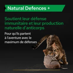 Purina PRO PLAN NATURAL DEFENCES+ CHAT ALIMENT COMPLEMENTAIRE - 60G -Pet Market Soldes PRO PLAN NATURAL DEFENCES CAT SUPPLEMENT 60G 4 FR