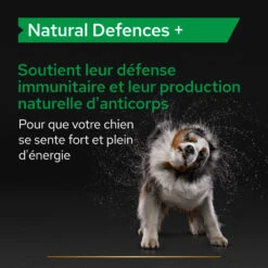 Purina PRO PLAN NATURAL DEFENSES+ CHIEN ALIMENT COMPLEMENTAIRE - 67G -Pet Market Soldes PRO PLAN NATURAL DEFENCES DOG SUPPLEMENT 67G 5 FR