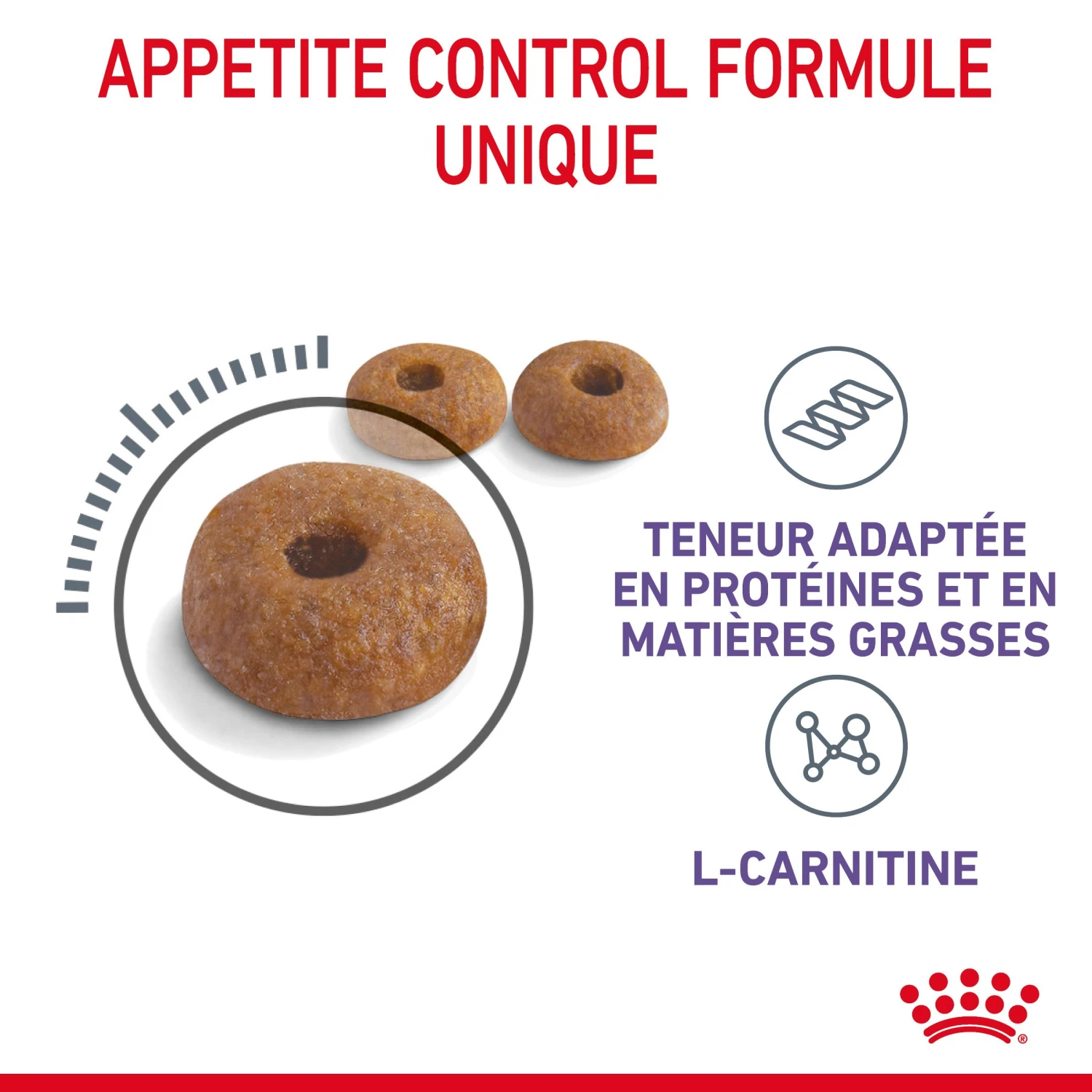 Royal Canin Appetite Control Pour Chat 10kg 5 Royal Canin Appetite Control Pour Chat 10kg – Image 5
