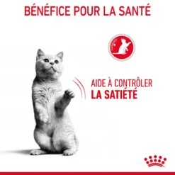 Royal Canin Appetite Control Pour Chat 10kg 17 Royal Canin Appetite Control Pour Chat 10kg -Pet Market Soldes Royal Canin Appetite Control Care Chat FR 07 1