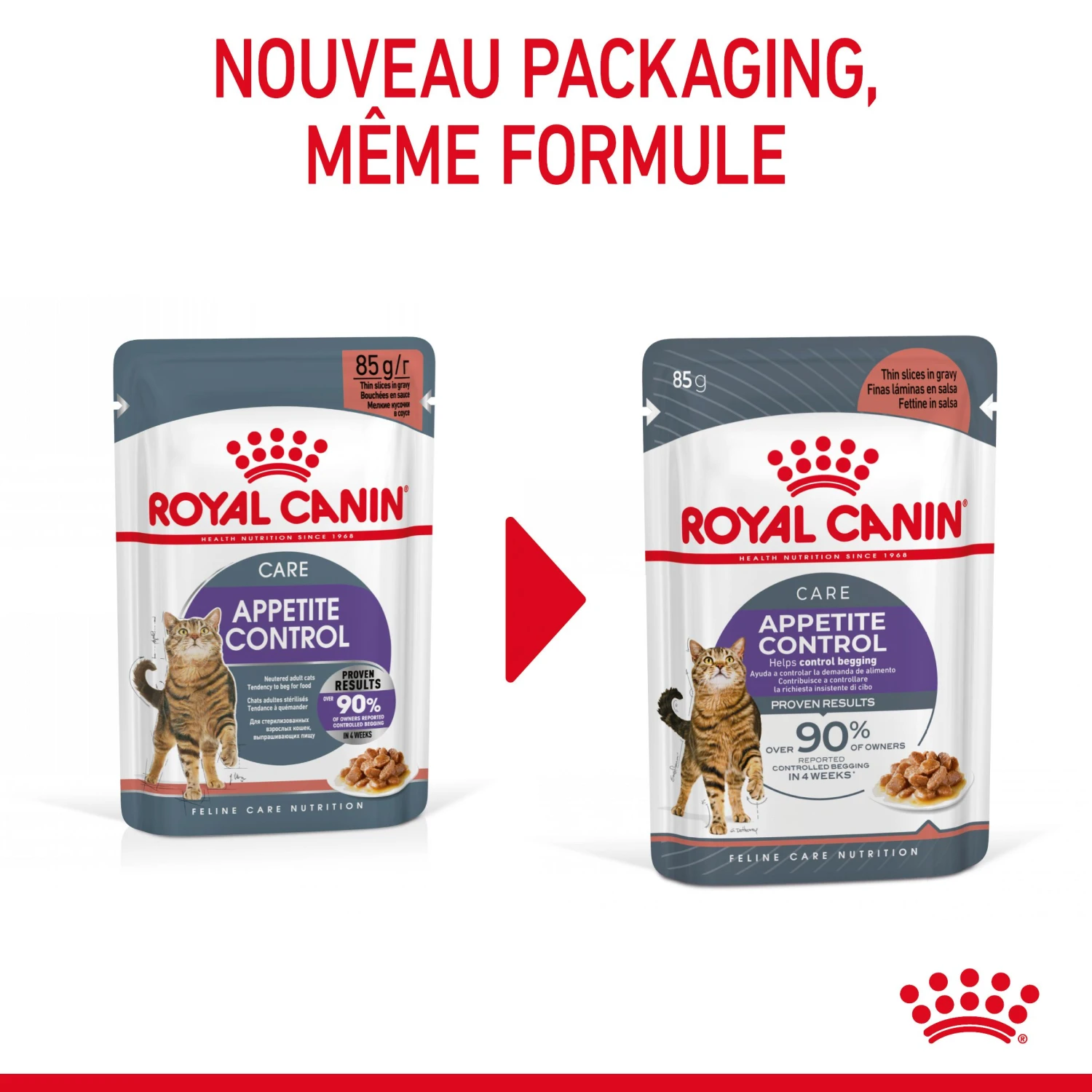 Royal Canin Appetite Control En Sauce Pour Chat 12 Sachets De 85g 4 Royal Canin Appetite Control En Sauce Pour Chat 12 Sachets De 85g – Image 4