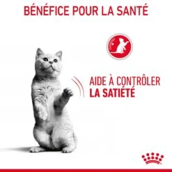 Royal Canin Appetite Control En Sauce Pour Chat 12 Sachets De 85g 20 Royal Canin Appetite Control En Sauce Pour Chat 12 Sachets De 85g -Pet Market Soldes Royal Canin Appetite Control Care Gravy Chat FR 08