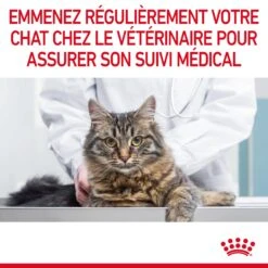 Royal Canin Dental Care Pour Chat 3,5kg -Pet Market Soldes Royal Canin Dental Care Chat FR 10
