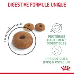 Royal Canin Digestive Care Pour Chat 10kg -Pet Market Soldes Royal Canin Digestive Care Chat FR 05 1