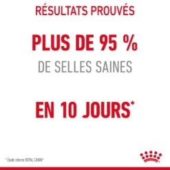 Royal Canin Digestive Care Pour Chat 4kg -Pet Market Soldes Royal Canin Digestive Care Chat FR 06 2