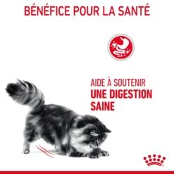Royal Canin Digestive Care Pour Chat 10kg -Pet Market Soldes Royal Canin Digestive Care Chat FR 07 1