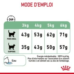 Royal Canin Digestive Care Pour Chat 4kg -Pet Market Soldes Royal Canin Digestive Care Chat FR 09 2