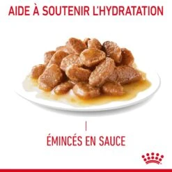 Royal Canin Digestive Care En Sauce Pour Chat 12 Sachets De 85g -Pet Market Soldes Royal Canin Digestive Care Gravy Chat FR 08