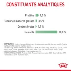 Royal Canin Digestive Care En Sauce Pour Chat 12 Sachets De 85g -Pet Market Soldes Royal Canin Digestive Care Gravy Chat FR 10