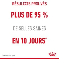 Royal Canin Digestive Care En Sauce Pour Chat 12 Sachets De 85g -Pet Market Soldes Royal Canin Digestive Care Gravy Chat FR 14