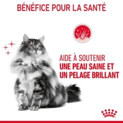 Royal Canin Hair & Skin Care En Sauce Pour Chat 12 Sachets De 85g 20 Royal Canin Hair & Skin Care En Sauce Pour Chat 12 Sachets De 85g -Pet Market Soldes Royal Canin Hair Skin Care Gravy Chat FR 08