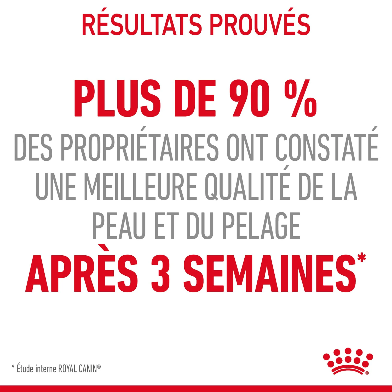 Royal Canin Hair & Skin Care En Sauce Pour Chat 12 Sachets De 85g 13 Royal Canin Hair & Skin Care En Sauce Pour Chat 12 Sachets De 85g – Image 13