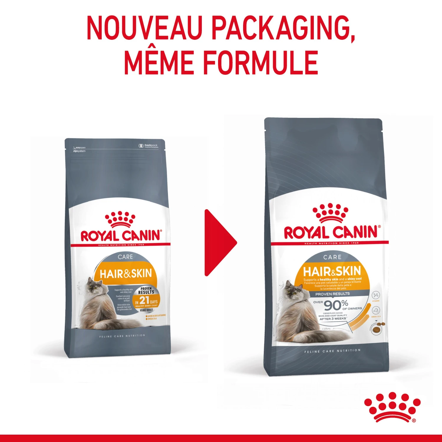 Royal Canin Hair & Skin Care Pour Chat 2kg 3 Royal Canin Hair & Skin Care Pour Chat 2kg – Image 3