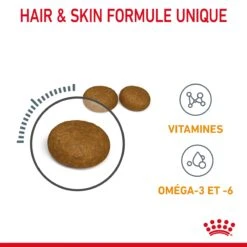 Royal Canin Hair & Skin Care Pour Chat 2kg 15 Royal Canin Hair & Skin Care Pour Chat 2kg -Pet Market Soldes Royal Canin Hair skin Care Chat FR 05