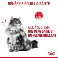 Royal Canin Hair & Skin Care Pour Chat 2kg 17 Royal Canin Hair & Skin Care Pour Chat 2kg -Pet Market Soldes Royal Canin Hair skin Care Chat FR 07