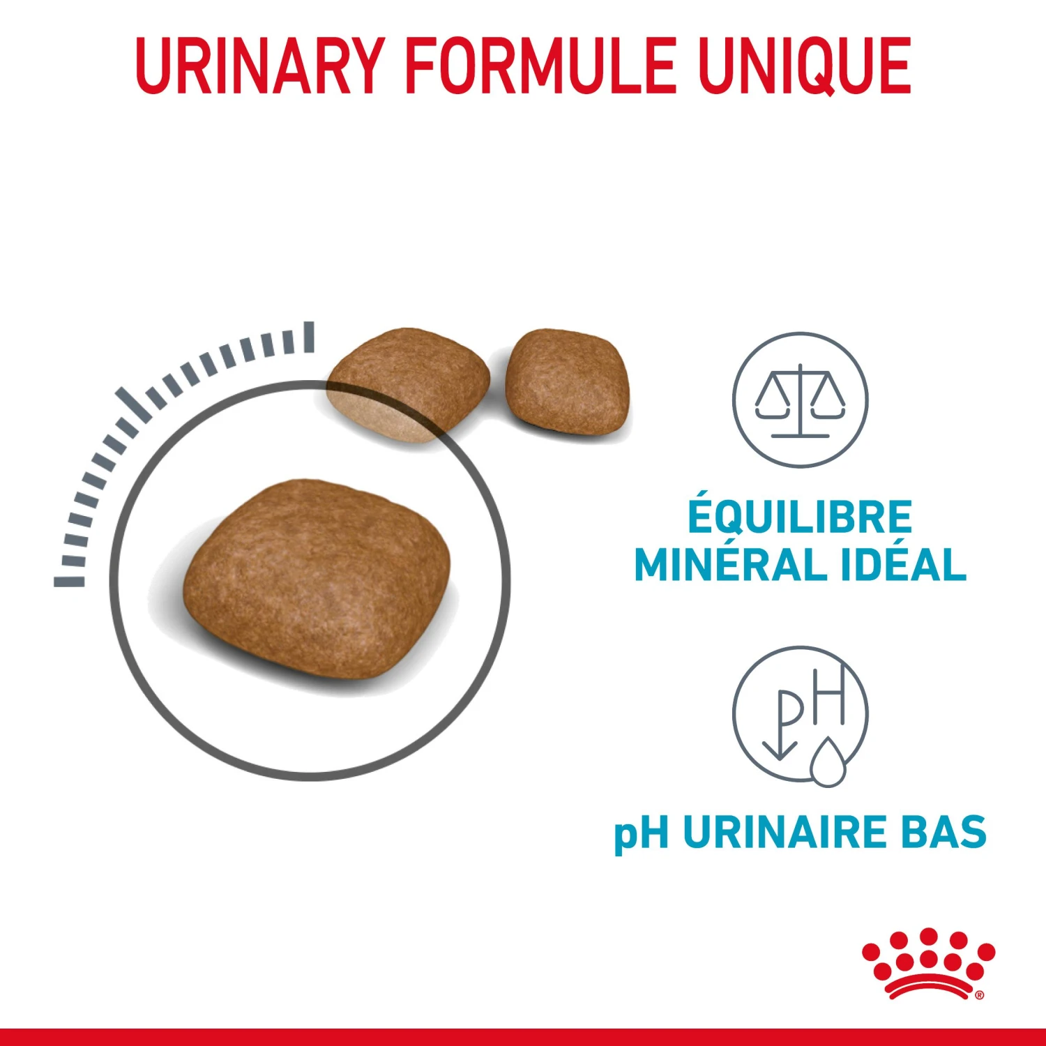 Royal Canin Urinary Care Pour Chat 4kg 5 Royal Canin Urinary Care Pour Chat 4kg – Image 5