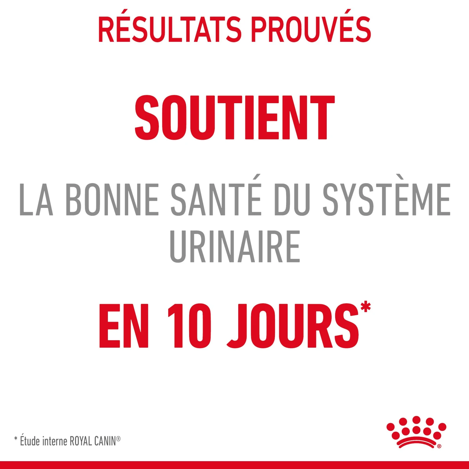 Royal Canin Urinary Care Pour Chat 4kg 6 Royal Canin Urinary Care Pour Chat 4kg – Image 6