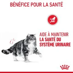 Royal Canin Urinary Care En Sauce Pour Chat 12 Sachets De 85g -Pet Market Soldes Royal Canin Urinary Care Gravy Chat FR 09