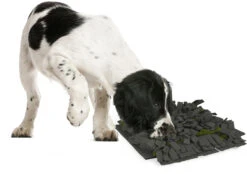 Flamingo Tapis à Renifler Amigo Rectangulaire + Fermeture Eclair Gris/vert 40x50cm -Pet Market Soldes a775a03a816b5a96e49c58cd3ecbc26540a84574cd16c3ba95abf6994148d0f2