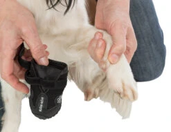 Trixie Chaussures De Protection Walker Active / L-XL 2pcs. -Pet Market Soldes a9ed7403e7270fba9cbe0c569267f57bb704d33b769ec1a5458f95b1bf0c54e0