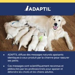ADAPTIL SPRAY TRANSPORT 20ML 12 ADAPTIL SPRAY TRANSPORT 20ML -Pet Market Soldes adaptil spray 5 FR