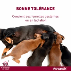 Advantix Chien Moyen 10-25Kg 12 Advantix Chien Moyen 10-25Kg -Pet Market Soldes advantix bonne tol rance