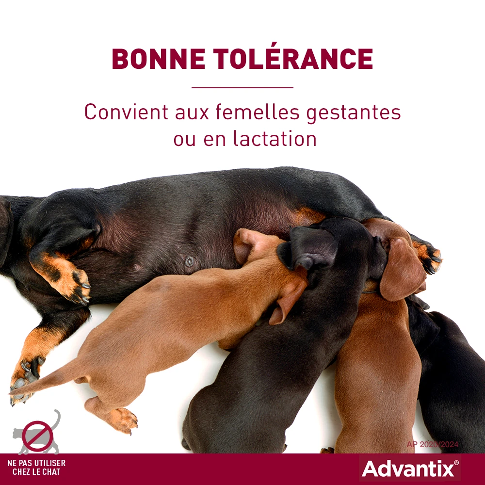 Advantix Chien Moyen 10-25Kg 6 Advantix Chien Moyen 10-25Kg – Image 6