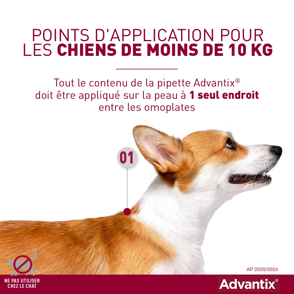 Advantix Petit Chien 4-10Kg 3 Advantix Petit Chien 4-10Kg – Image 3