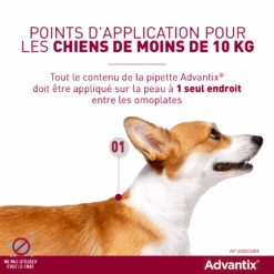 Advantix Très Petit Chien 2-4Kg -Pet Market Soldes advantix point d application 2