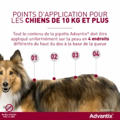 Advantix Chien Moyen 10-25Kg 11 Advantix Chien Moyen 10-25Kg -Pet Market Soldes advantix point d application grands chiens