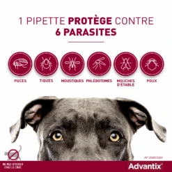 Advantix Très Petit Chien 2-4Kg -Pet Market Soldes advantix spectre de protection