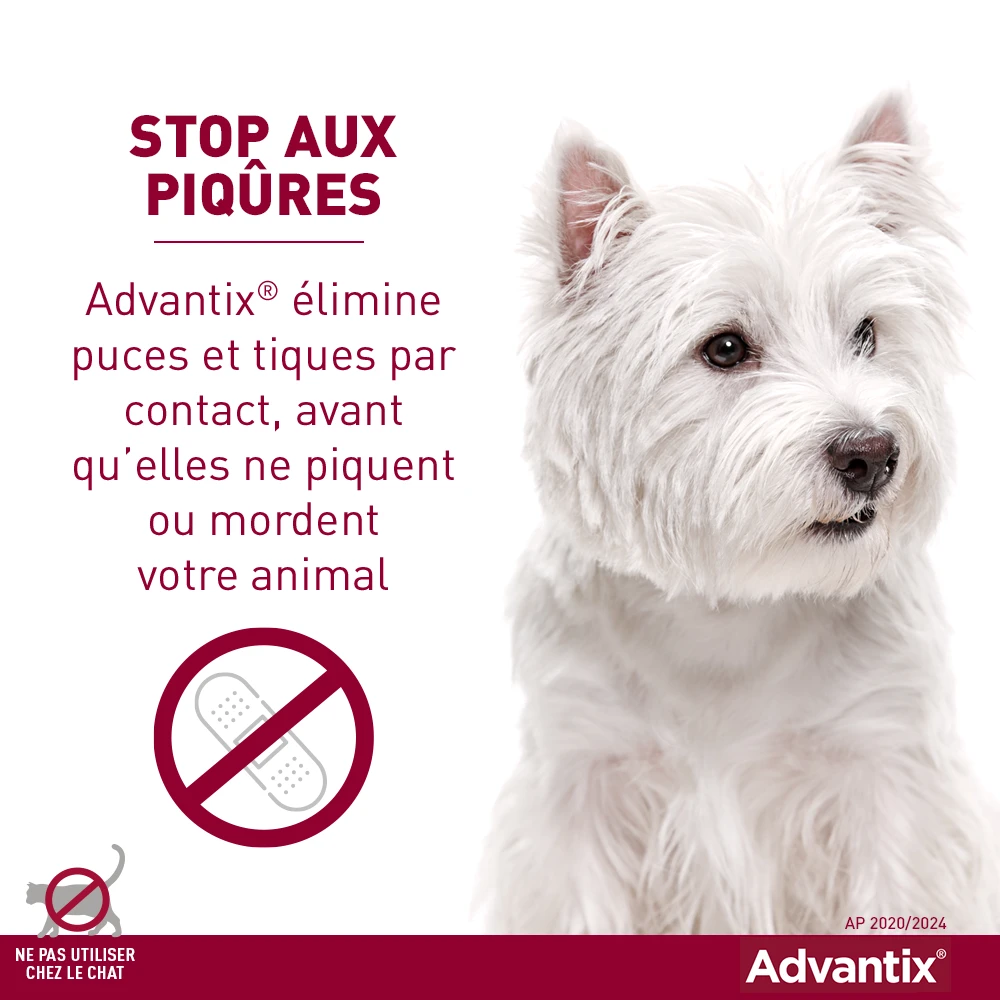 Advantix Petit Chien 4-10Kg 2 Advantix Petit Chien 4-10Kg – Image 2