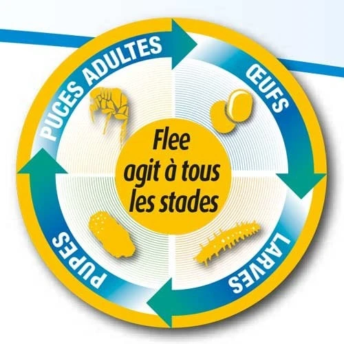 Flee Aerosol 400ml 3 Flee Aerosol 400ml – Image 3