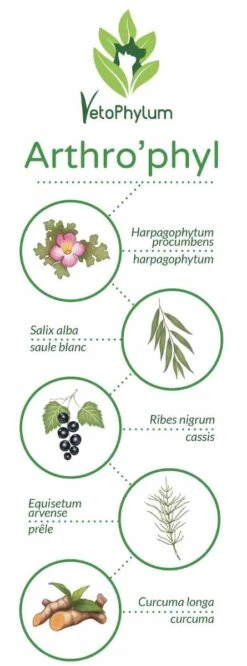 Arthro'Phyl 5 Arthro'Phyl -Pet Market Soldes arthrophyl4