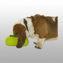 Buster Gamelle Incredibowl 7 Buster Gamelle Incredibowl -Pet Market Soldes b7db7eb0627be48e1161fb24e8121baeec2f2b6161bf624f19777e80bde9c2c9