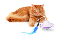 Flamingo Jouet Chat Scully Electro Dia. 9,7cm -Pet Market Soldes b9844104c47250fc7f535f3590b1b4419bc7e40968ece37baf777bb09b2f8ccf