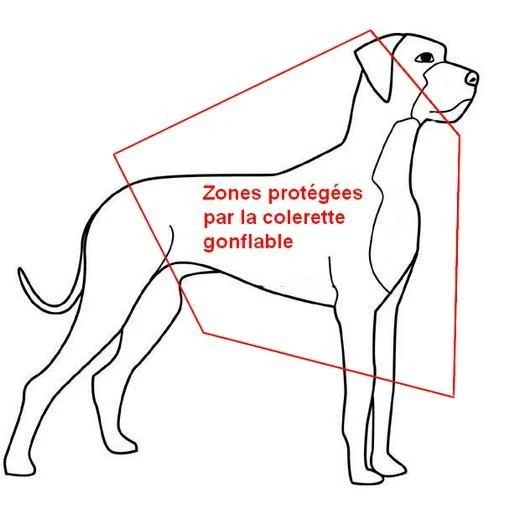 Collier Lune 2 Collier Lune – Image 2